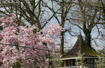 Theekoepel Huize Almelo
